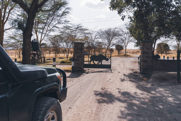 Land cruiser for self drive arriving in Lake Nakuru National Park