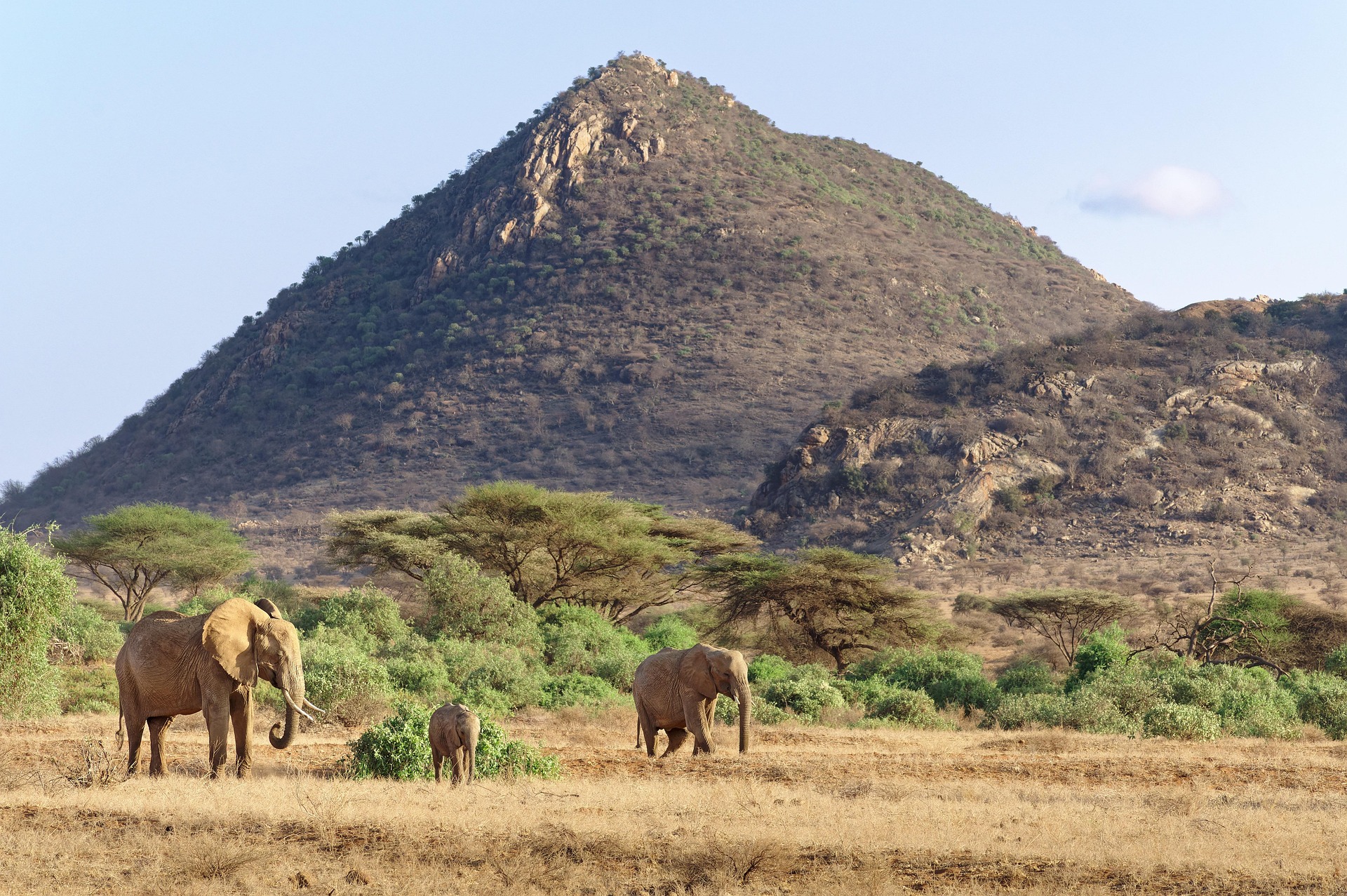 gildaix-elephants in Samburu National Park