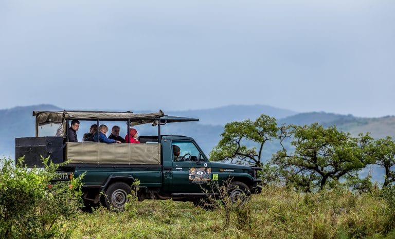 Car rental Kenya for safaris