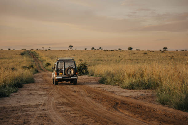 self drive Uganda safari at Murchison Falls