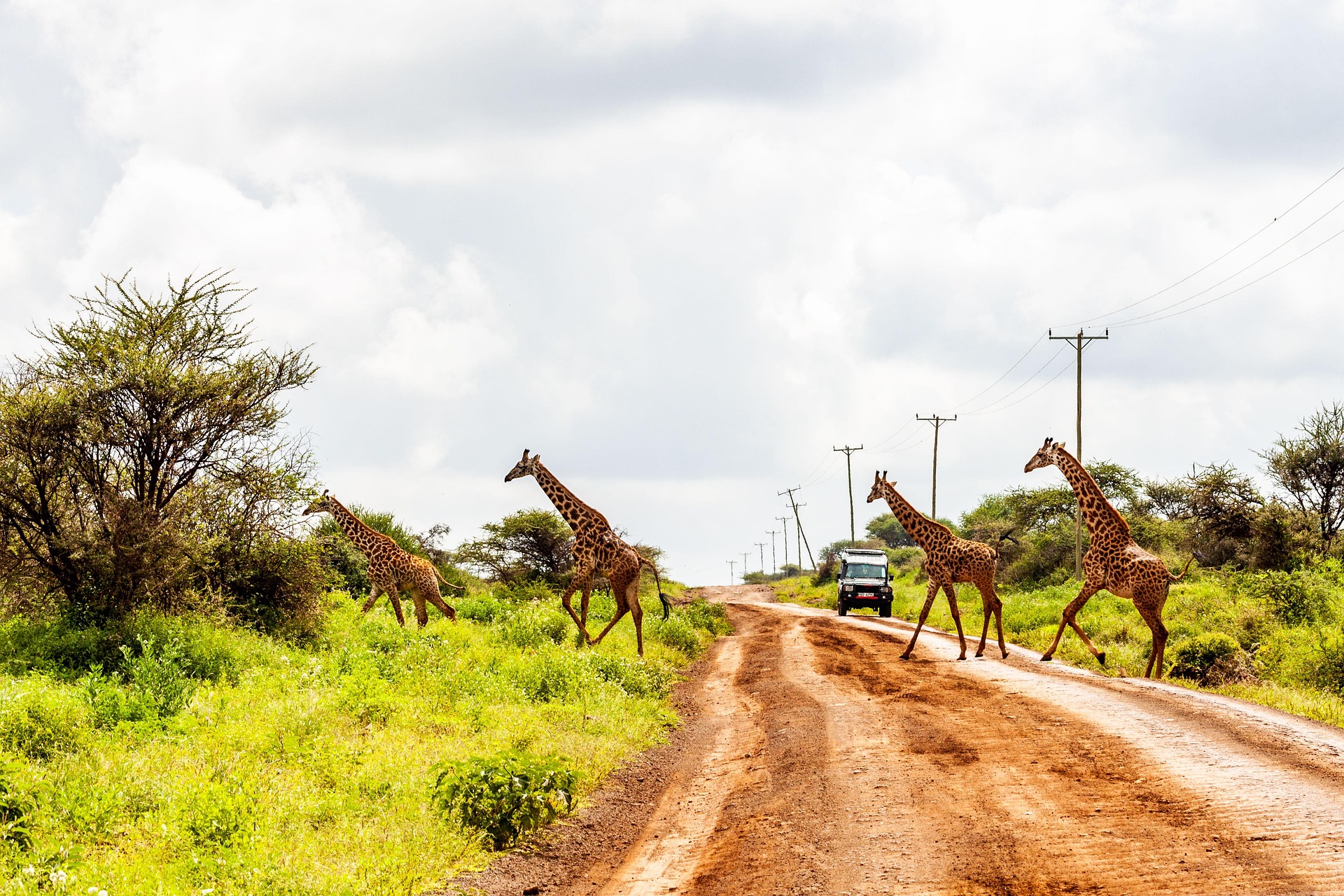 A 4x4 during a self drive Amboseli safari