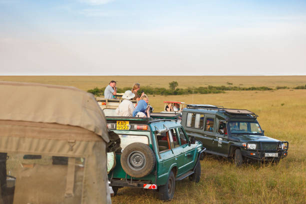 Game drive safaris in Masai Mara