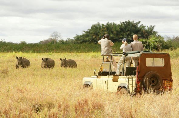 Meru-National-Park-Self-Drive-Safari