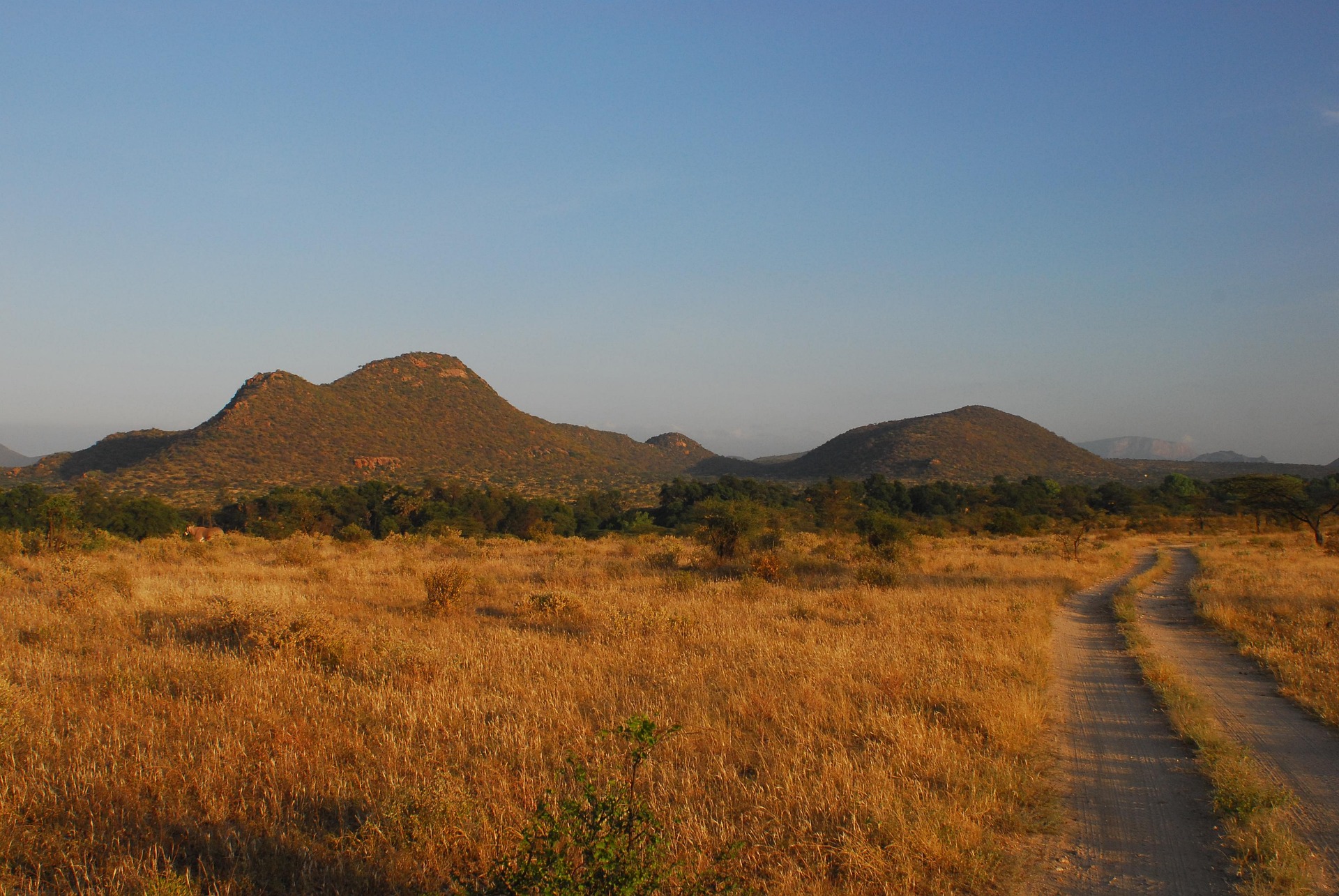 samburu-national-park